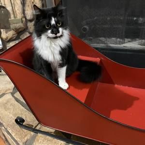 Meet your Posher, Cheryl